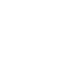 ICON (1)